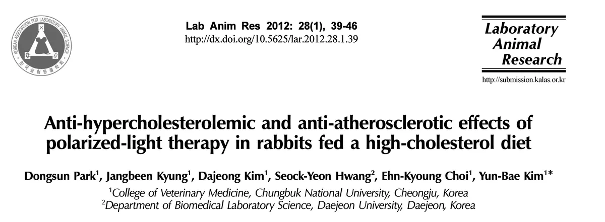 Study design showing high cholesterol rabbit model and statin comparison groups