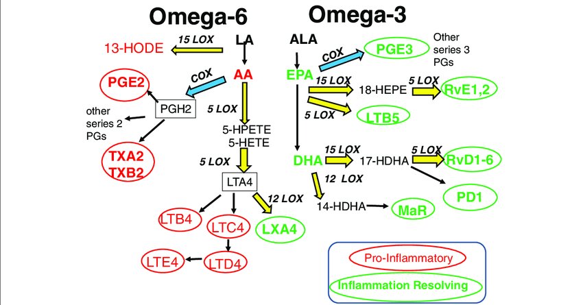 Omega 3 resolvins versus omega 6 pro-inflammatory mediators