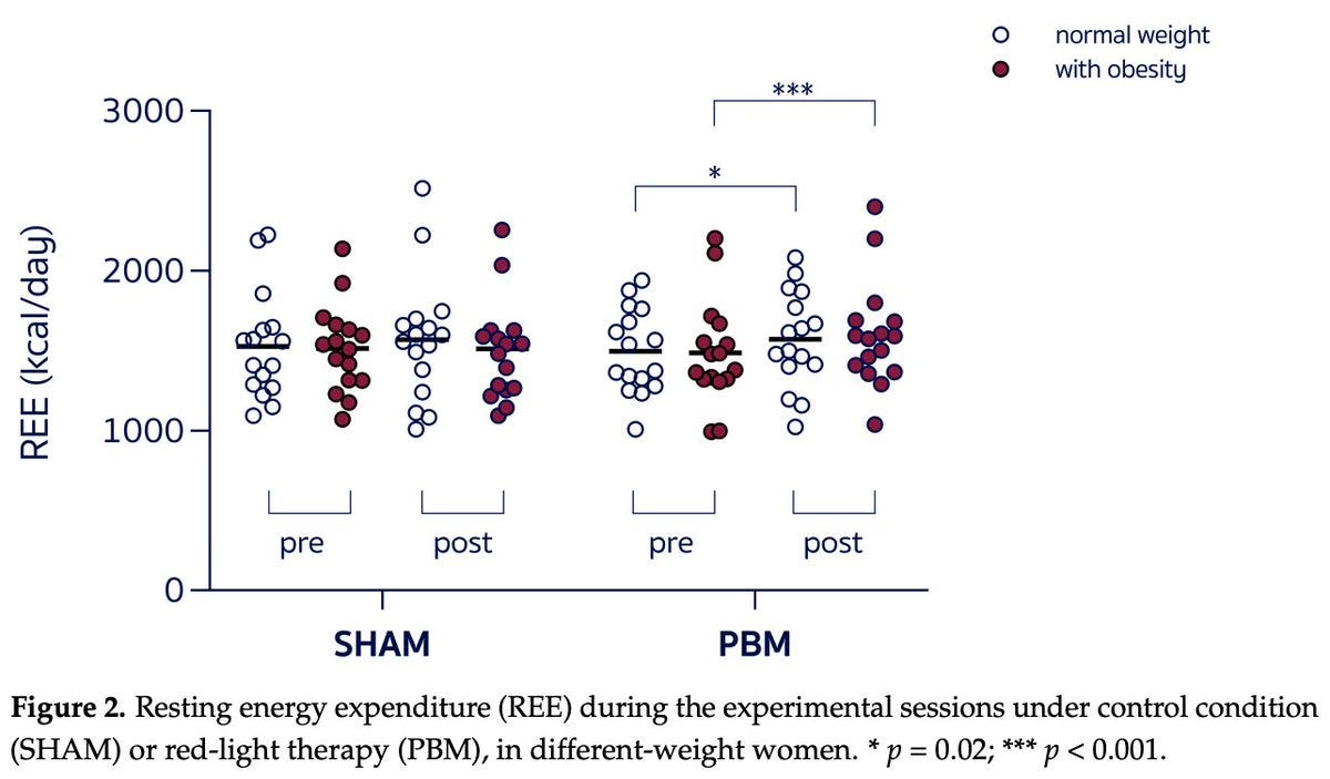 Red light therapy effects on metabolic rate and insulin sensitivity