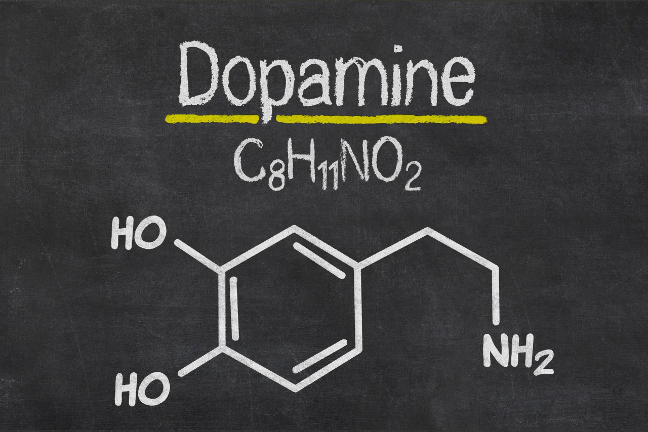 Overview graphic of dopamine and its role in energy, pleasure and motivation