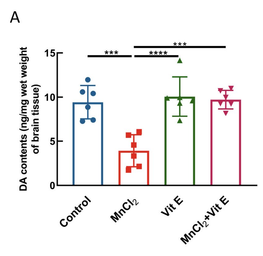 Research on vitamin E protecting dopaminergic cells from oxidative damage