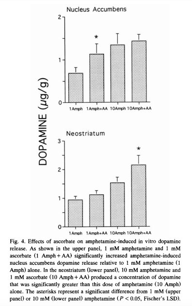 Study results showing vitamin C increasing dopamine output by 50 to 100 percent