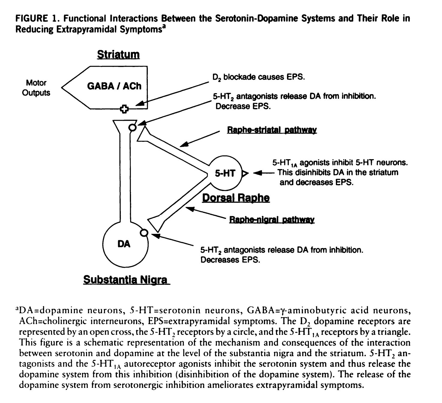 Research showing phenylalanine depleting brain serotonin