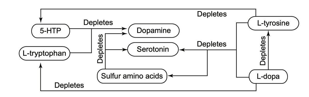 Study showing tryptophan and 5HTP supplementation lowering dopamine