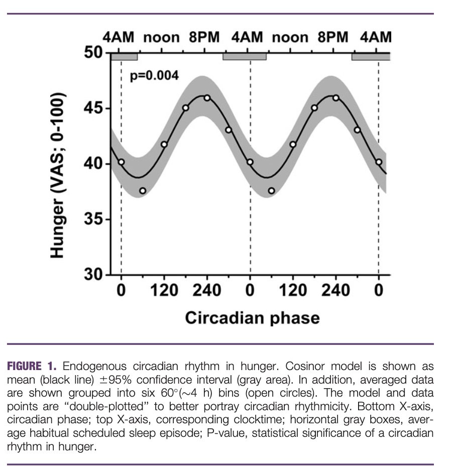 Circadian variation in hunger hormones across the day