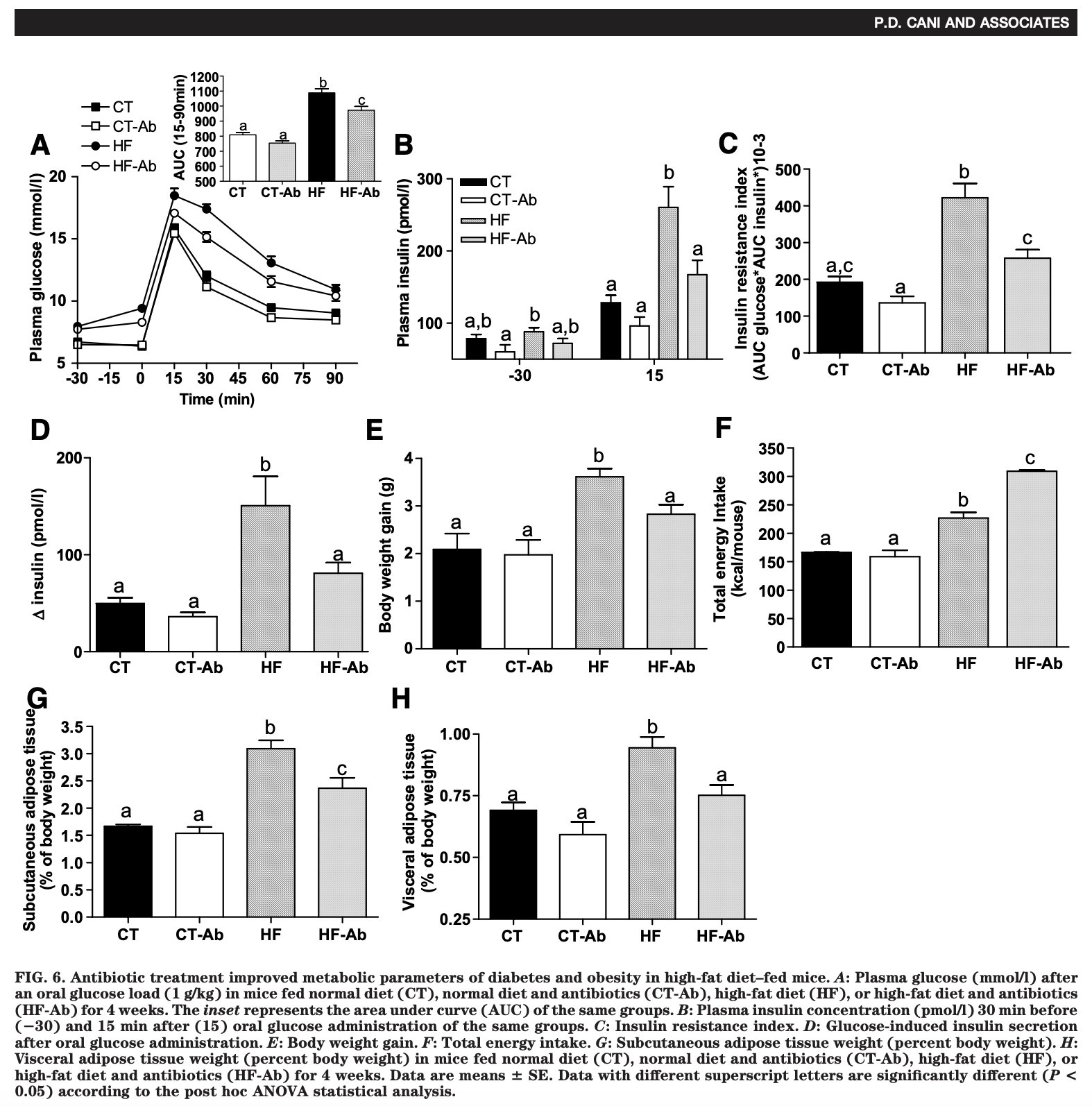 Research showing eliminating endotoxin with antibiotics reverses obesity