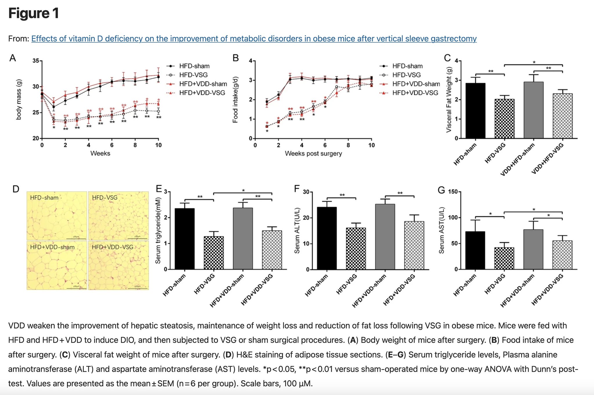 Animals with low vitamin D losing less belly fat after surgery