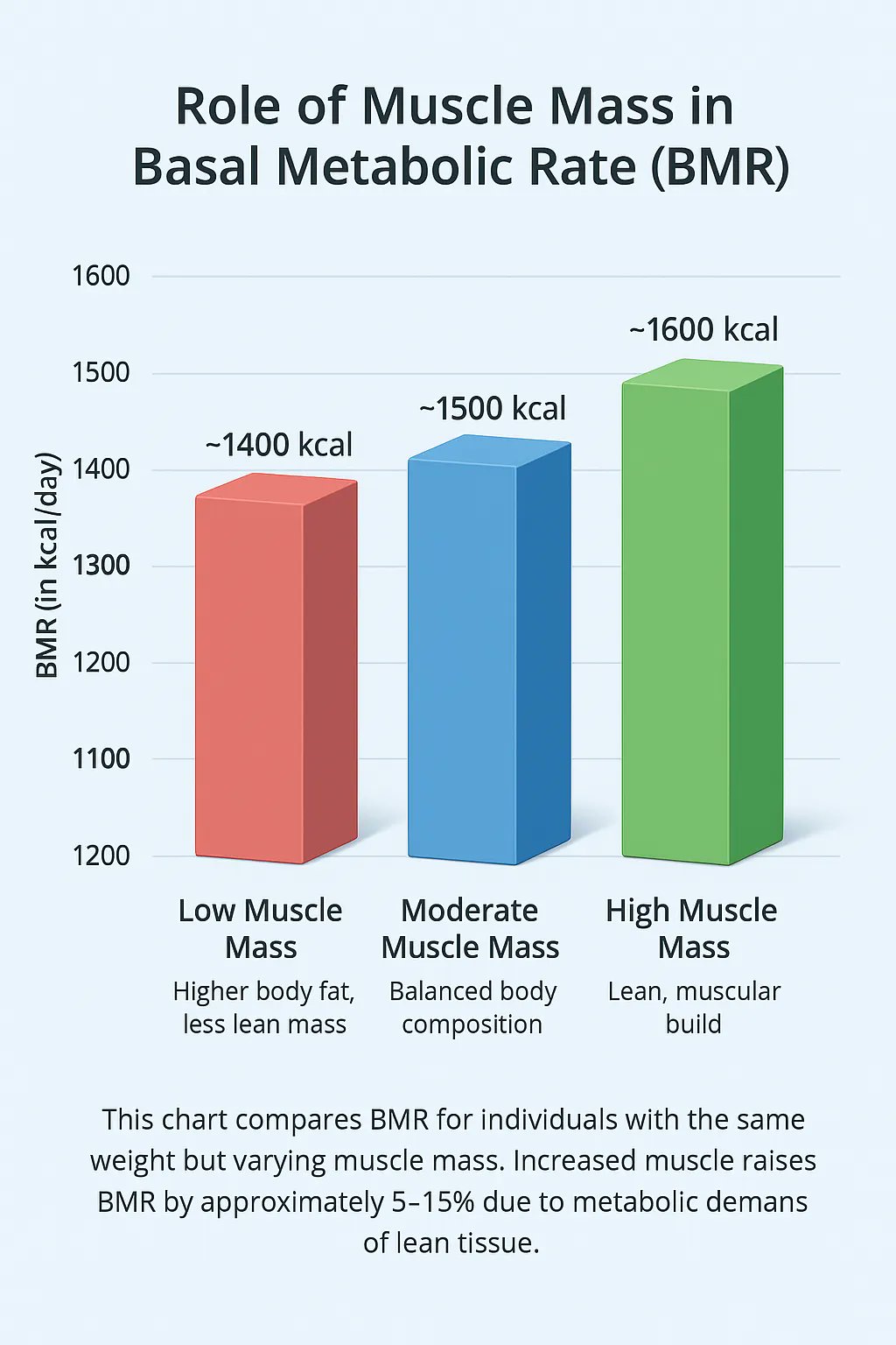 Muscle tissue energy and fat consumption at rest