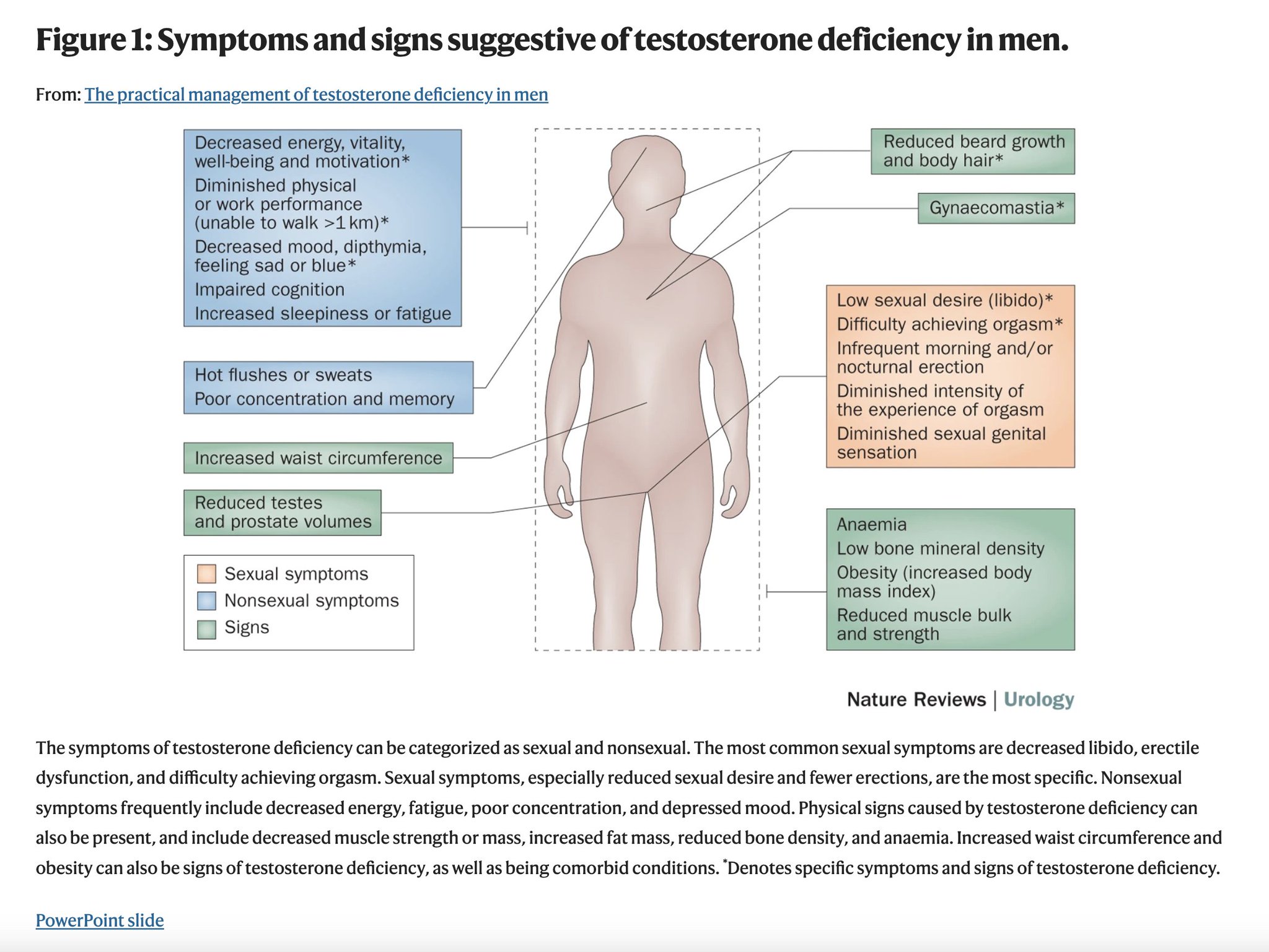 Review on testosterone and its role in reducing body fat