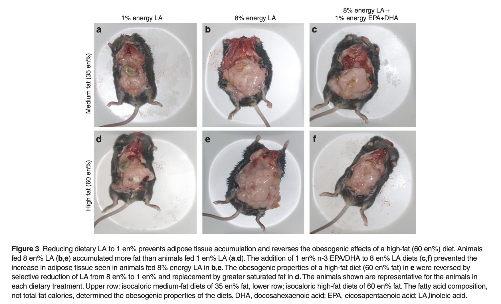 Study comparing fat gain on 8% versus 1% linoleic acid diets