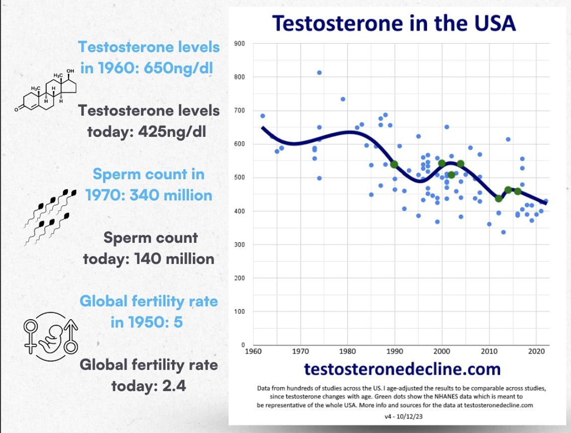 Overview graphic for the full testosterone optimization guide