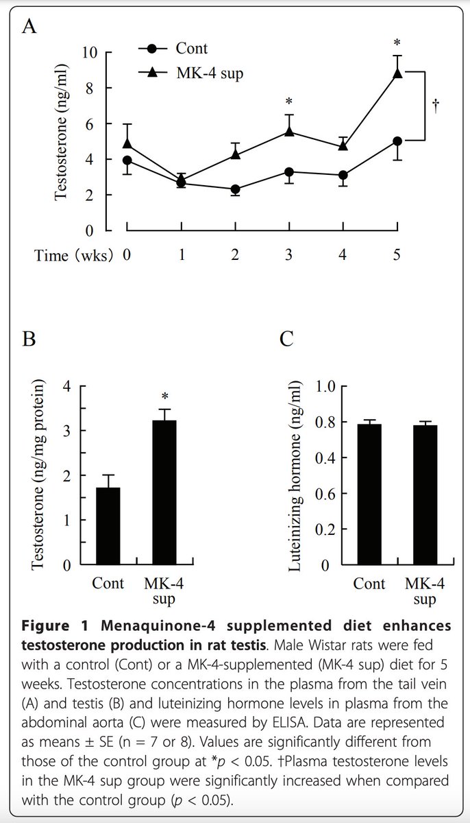 Data showing vitamin K2 megadosing nearly doubling testosterone through steroidogenic enzyme expression