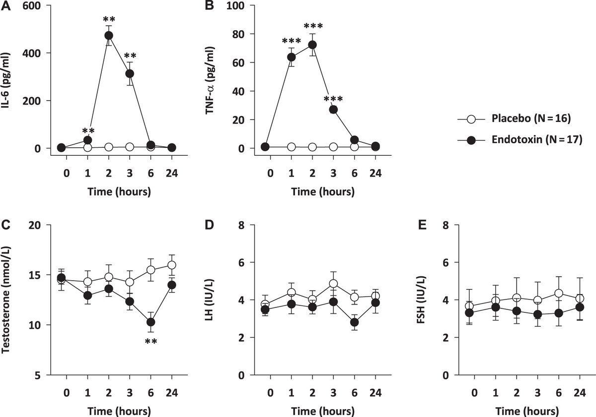 Overview of gut bacteria-derived toxins slashing testosterone by 30% via inflammation and testicular energy impairment