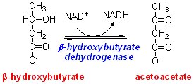 Ketone ratio and mitochondrial NADH/NAD+ balance interpretation