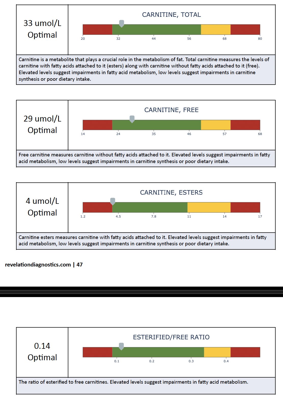 Carnitine profile results showing low free carnitine indicating elite fat metabolism