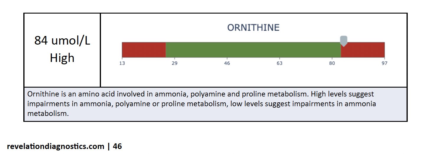 Ornithine elevation in plasma amino acid panel and urea cycle connection