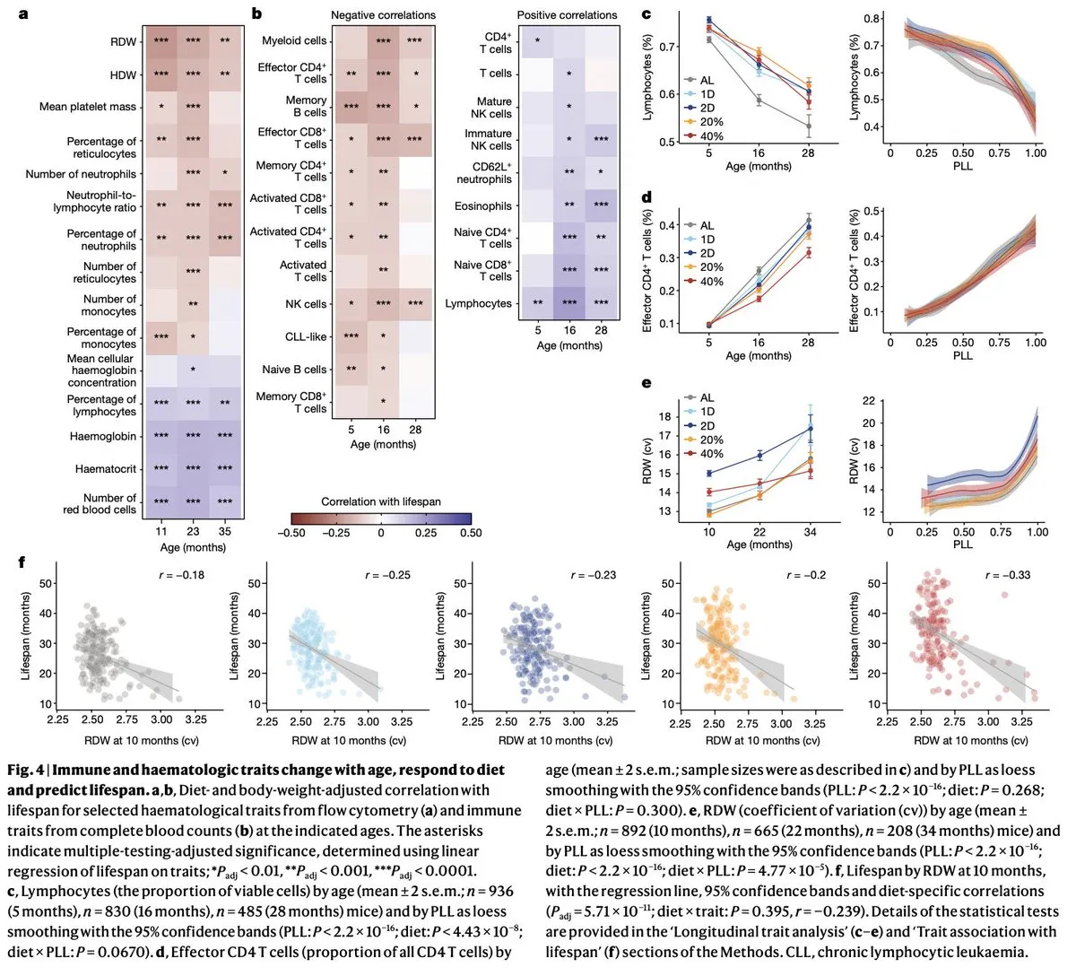 Blood cell count data showing immune system predictors of lifespan in calorie restricted mice