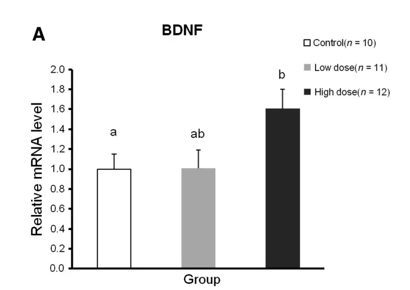Research on lactoferrin boosting BDNF and protecting the gut nerves that control pain and motility