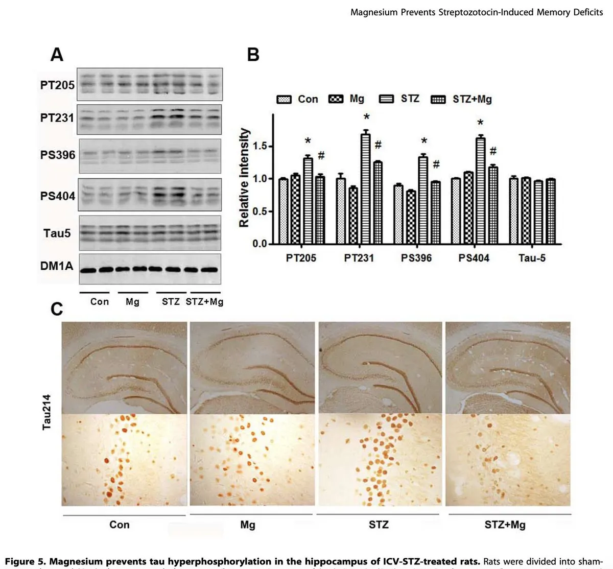 Animal study data showing magnesium preventing Alzheimer's protein accumulation and improving brain glucose metabolism