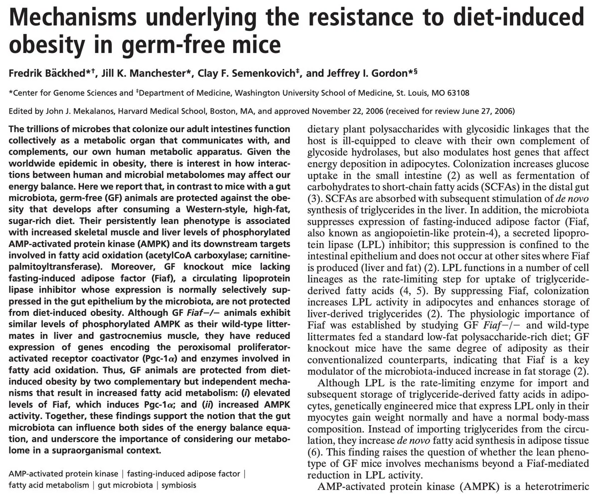 Germ-free animals gaining half the expected weight on a junk food diet due to absence of gut bacteria