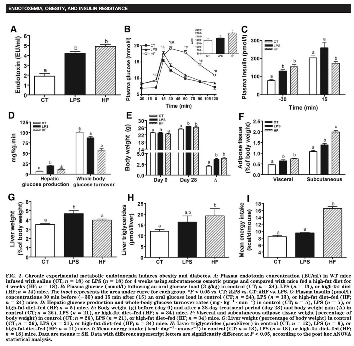 Antibiotic treatment preventing fat gain and insulin resistance in animals eating a fattening diet