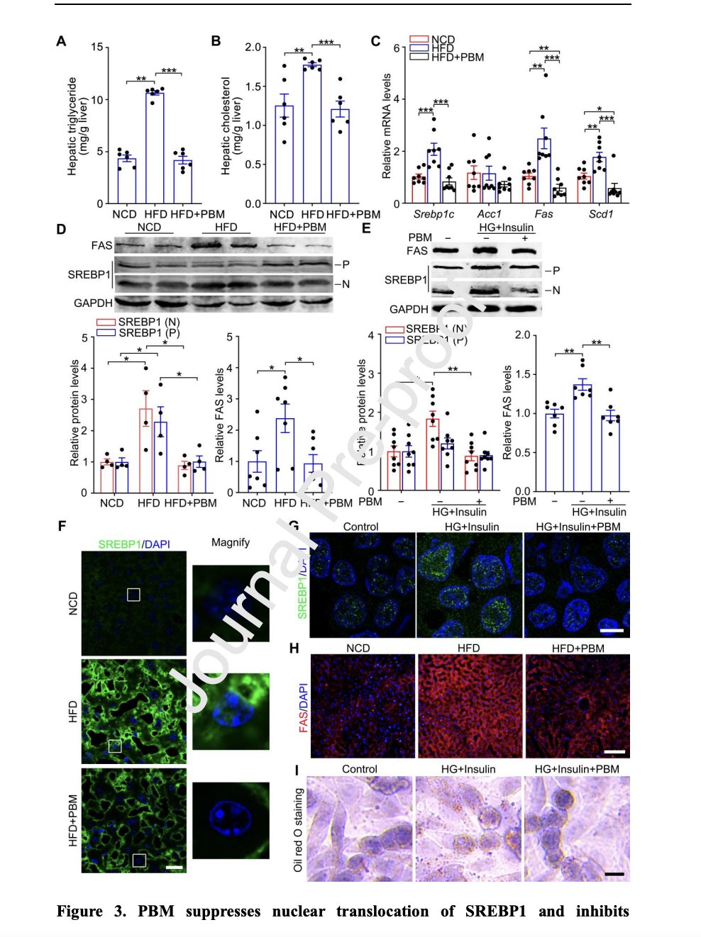 Genes involved in fat creation - SREBP1C, FAS, SCD1 - reduced by red light therapy