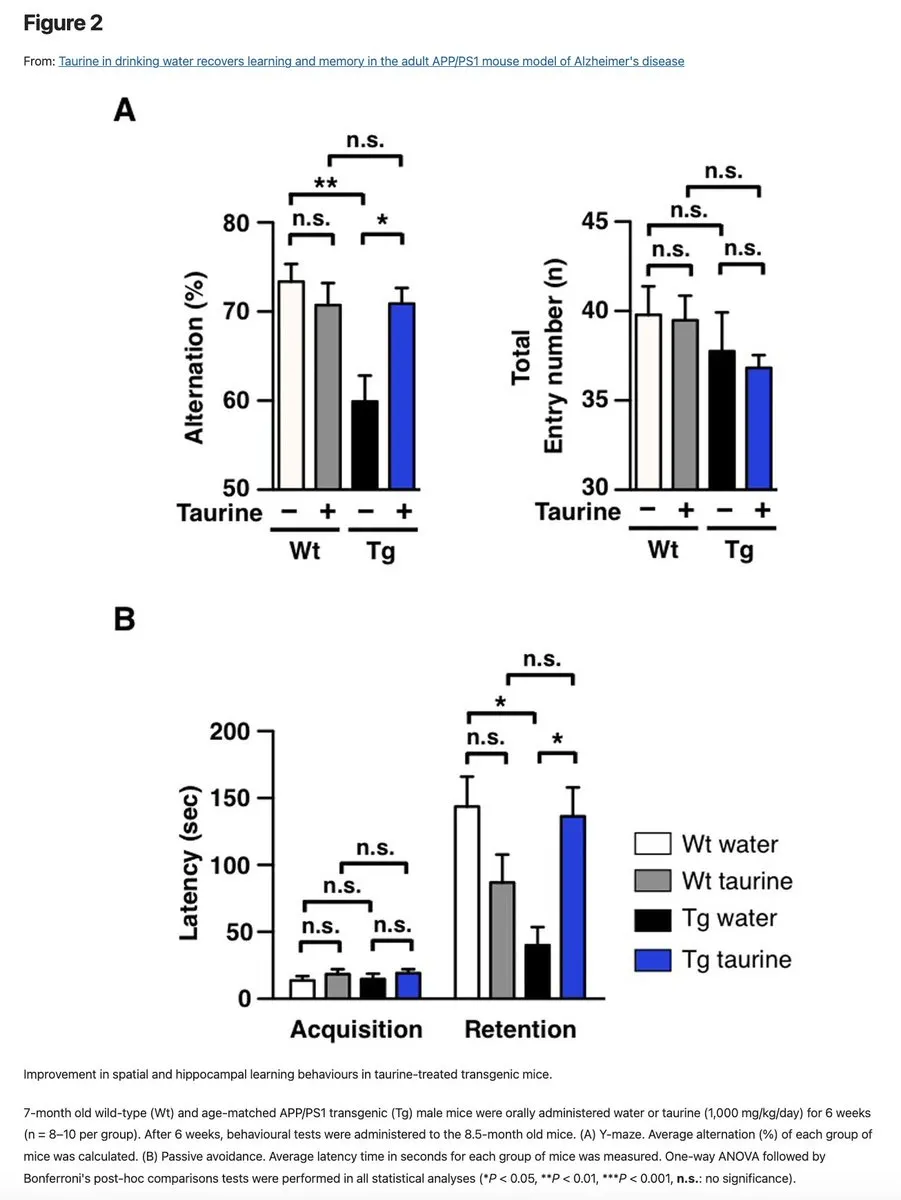 Memory test results comparing taurine-supplemented animals against controls on maze and avoidance tasks
