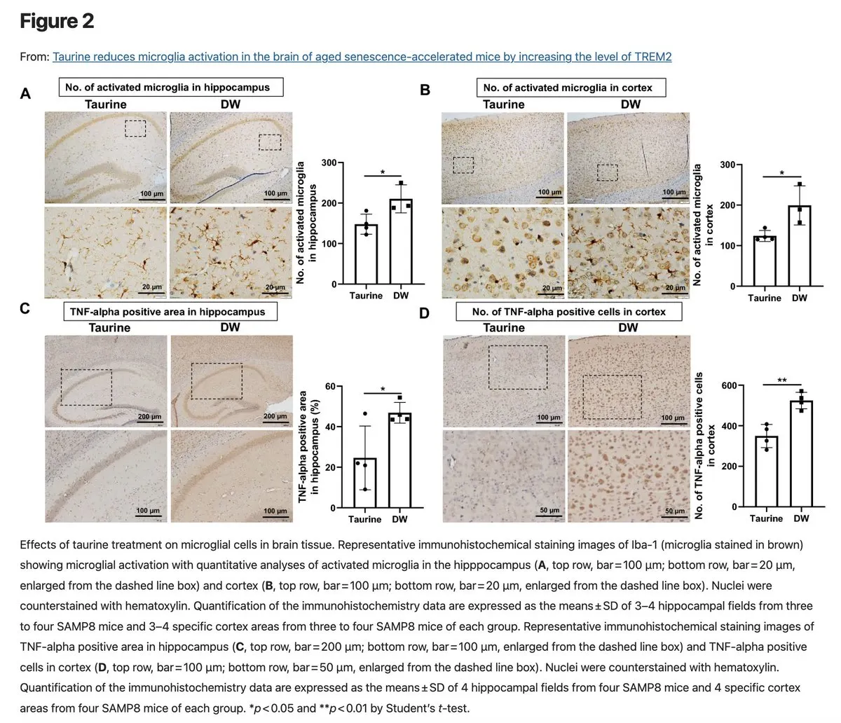 Further data on taurine's anti-inflammatory effects in brain tissue