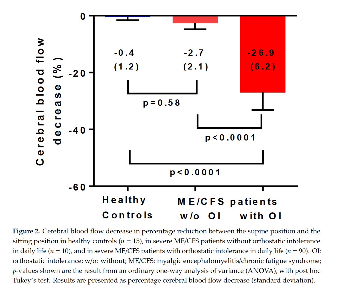 Research showing carbon dioxide's role in improving brain blood flow and oxygen delivery
