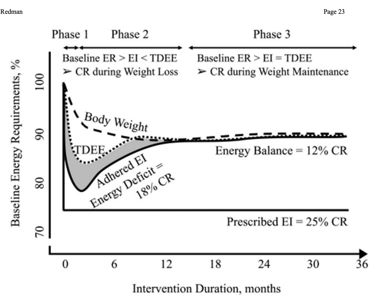 Study results showing thiamine megadosing reducing fatigue severity by 40 percent